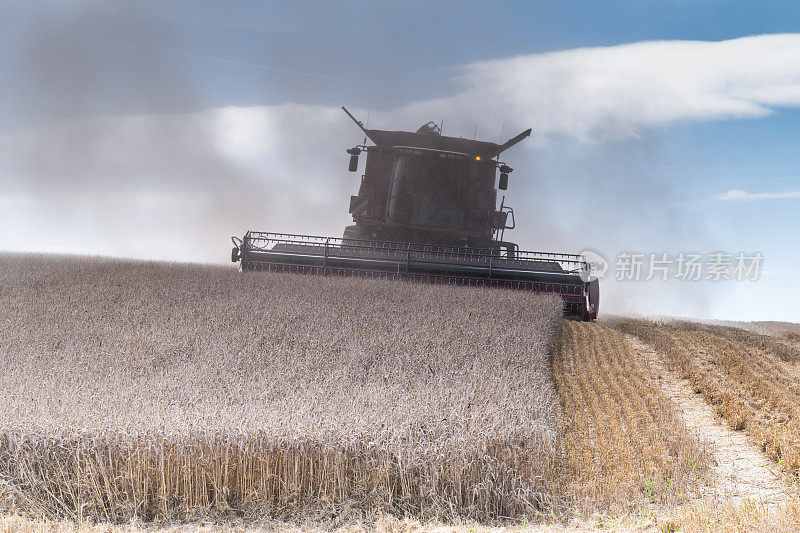 Harvest North Essex